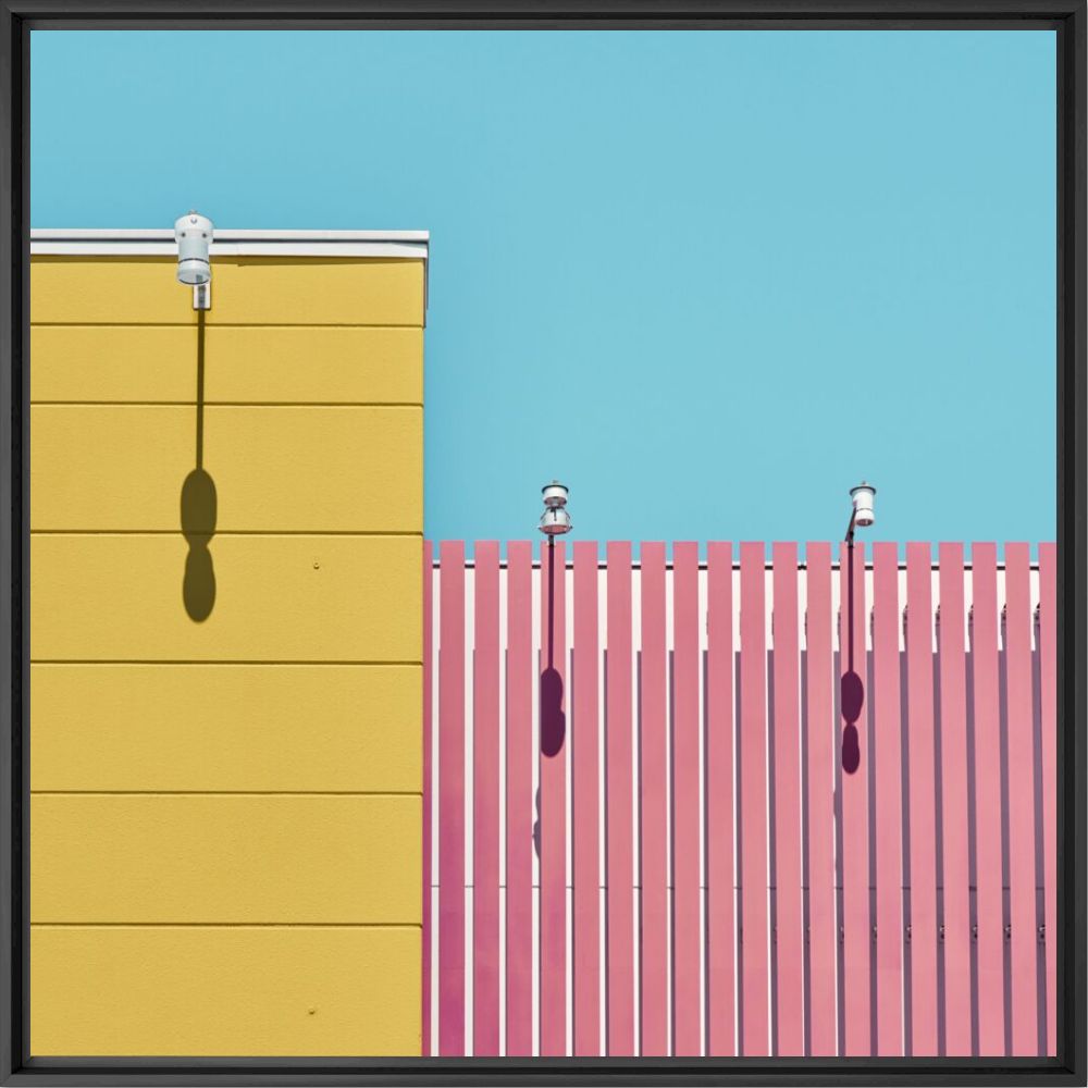 Pink and yellow - Masakichi  - Photograph
