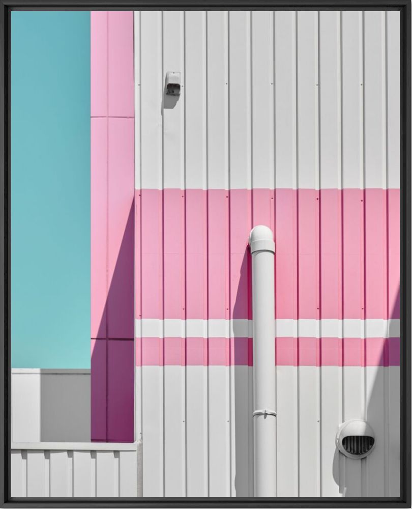 Pink Geometry - Masakichi  - Photograph