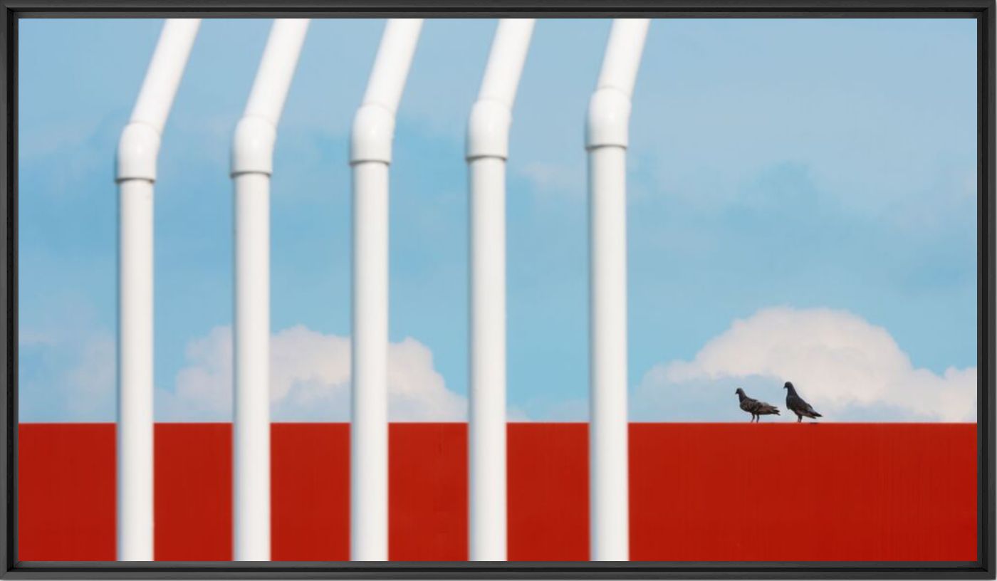 Red bonds - Masakichi  - Photograph