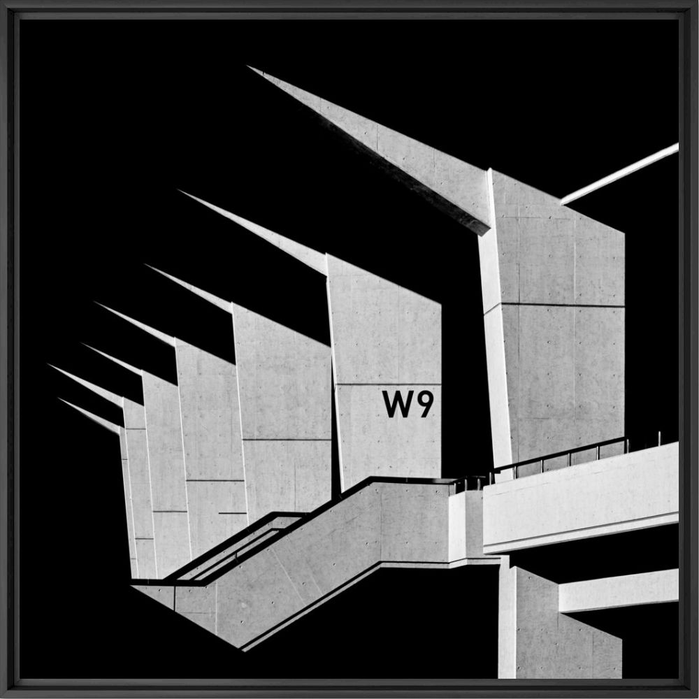 W9 - Masakichi  - Photograph