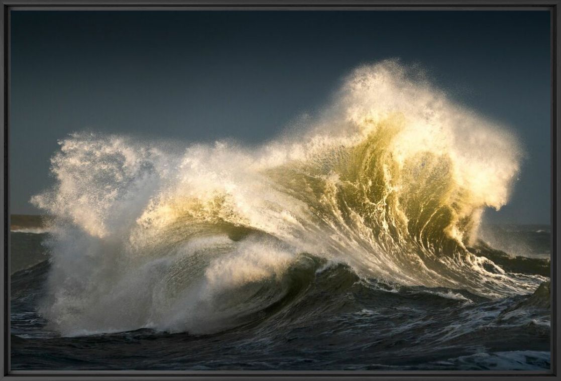 LES GRIFFES DOREES DE L OCEAN - MATHIEU RIVRIN - Photograph