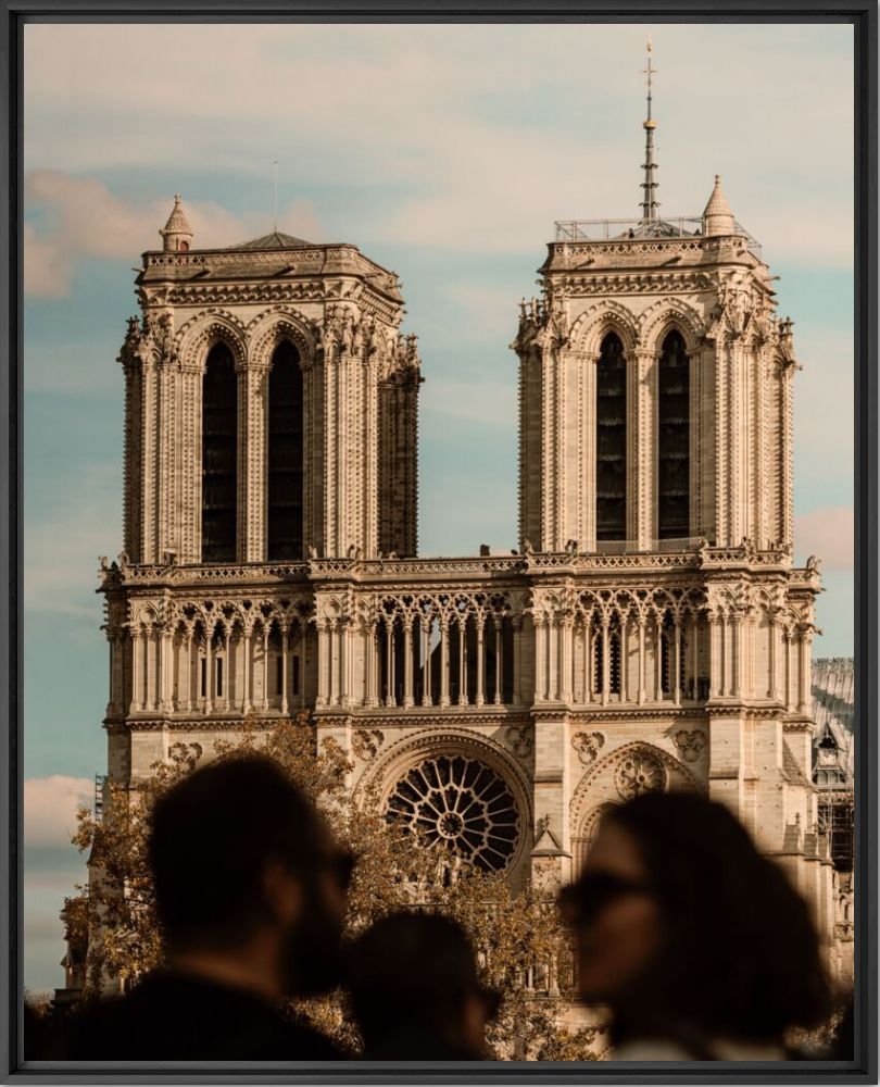 Ombres &agrave; Notre-Dame - Matteo Merea - Photographie