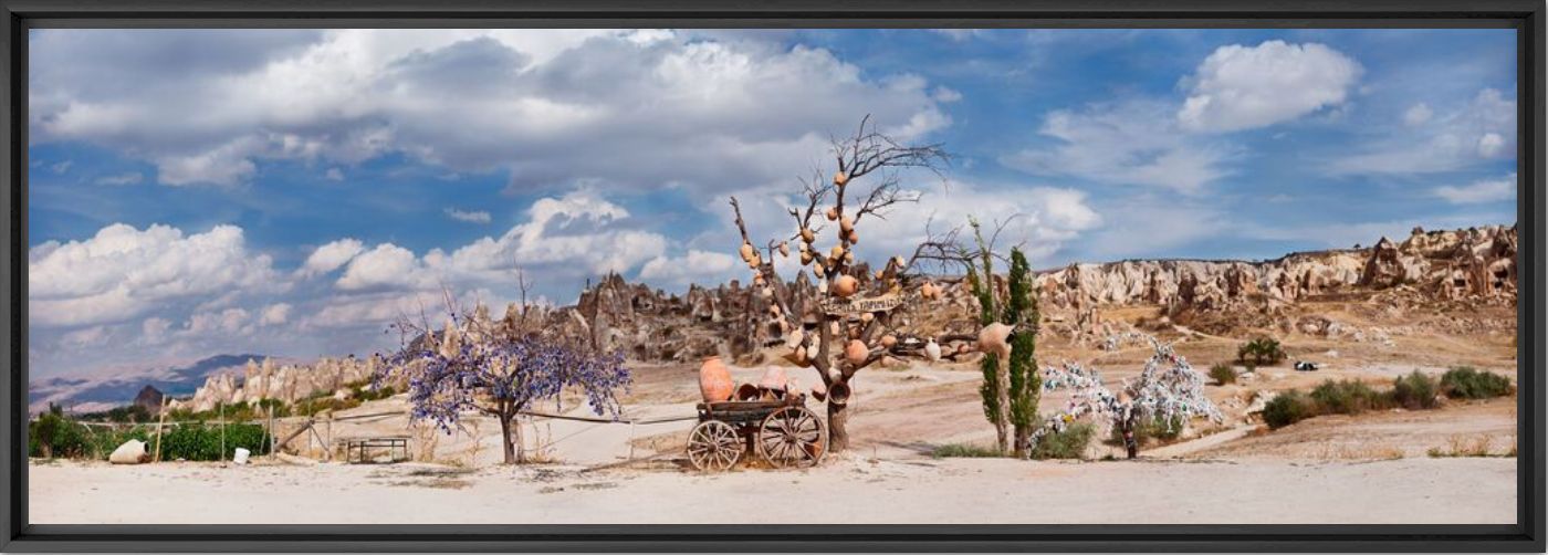 Wishtree - MATTHIAS BARTH - Photographie