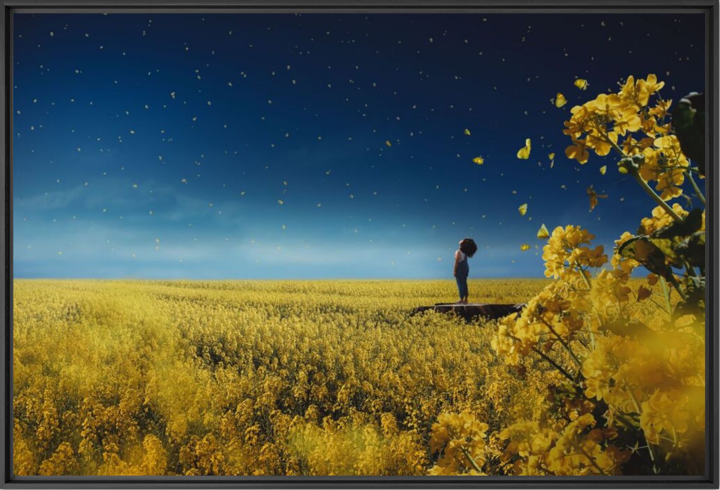The Longing - MINA MIMBU - Photographie