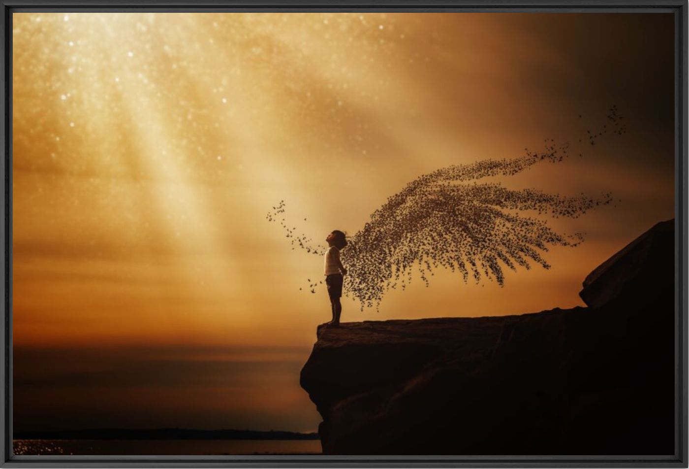 Wings - MINA MIMBU - Photograph