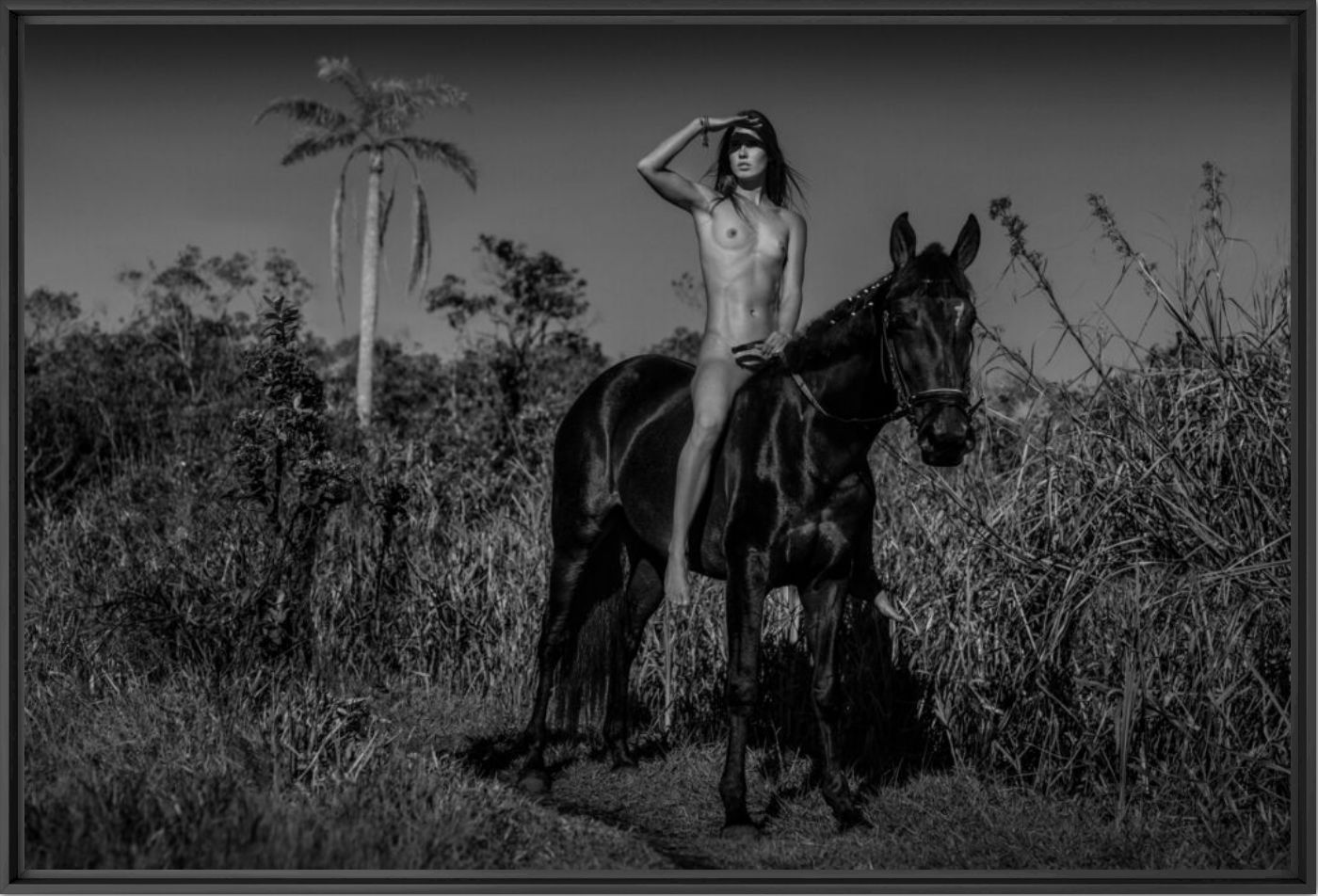 Wild ride in Brazil - NICOLAS BETS - Fotografia