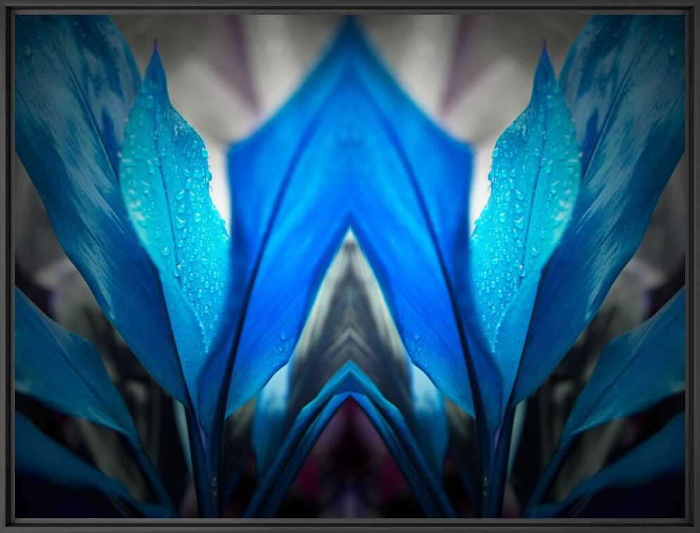 Blue Arch - NICOLAS JARDRY - Photograph