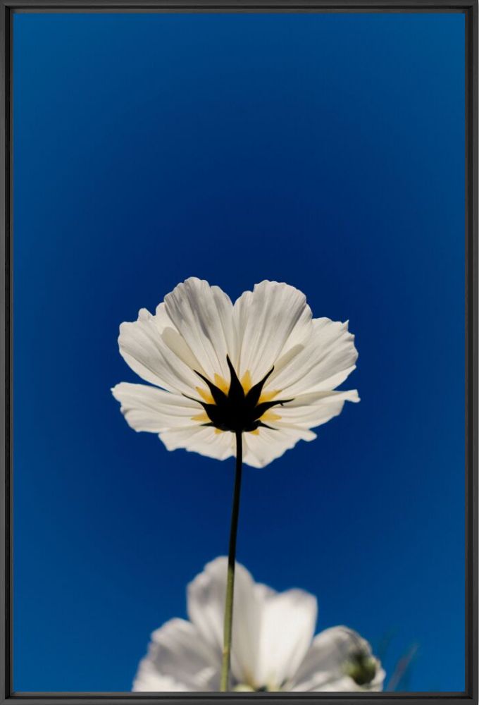 Blue sky - Nicolas Leconte - Photographie