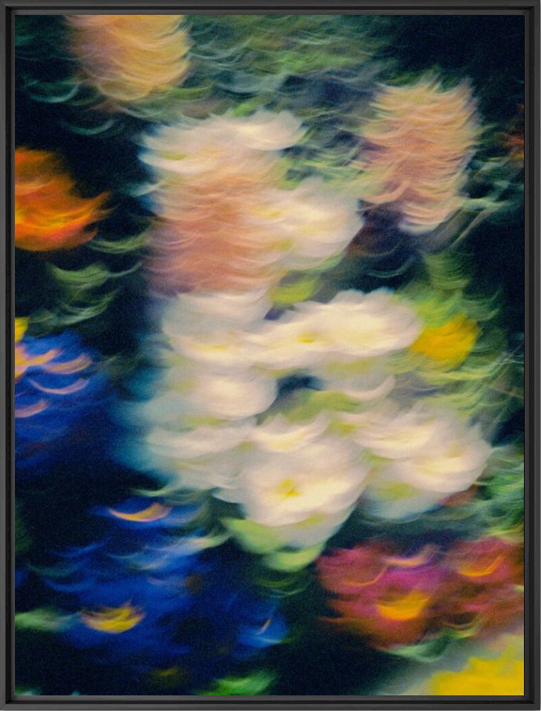 Floral - Nicolas Leconte - Photographie