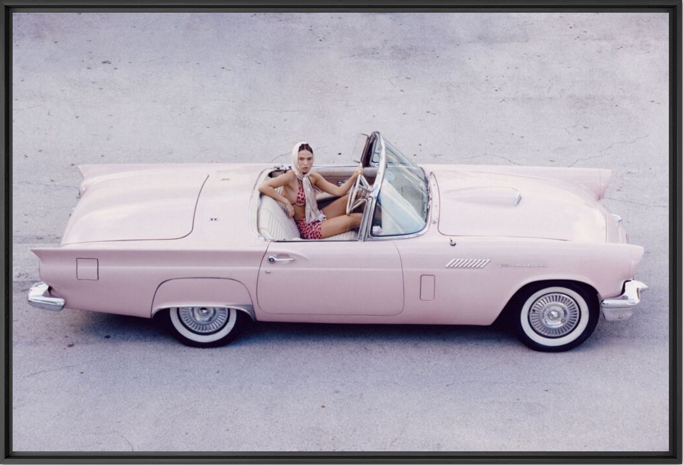Thunderbird - Nik and Kerry Wheeler - Photograph