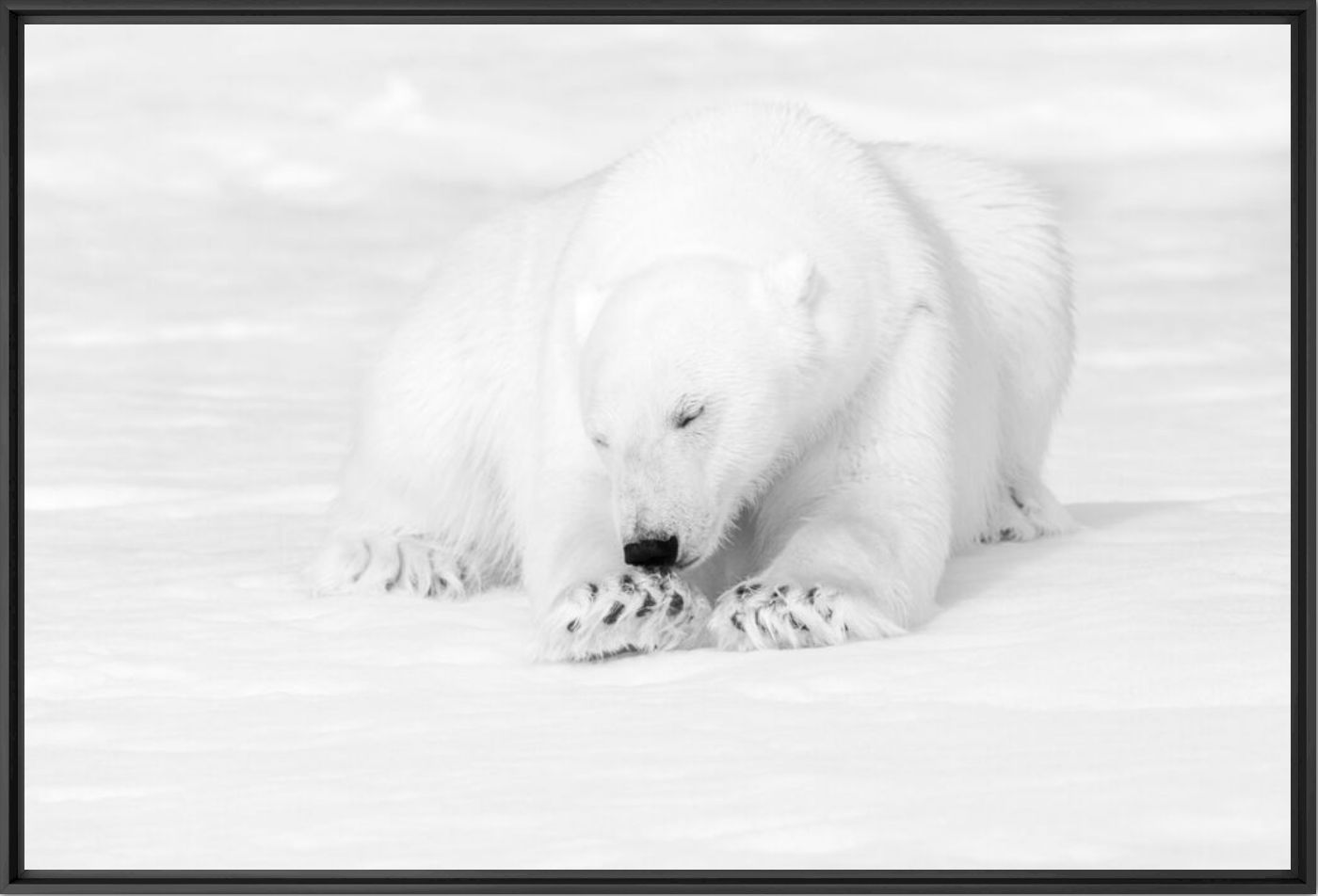 A good good night - NOLWENN HADET - Photographie