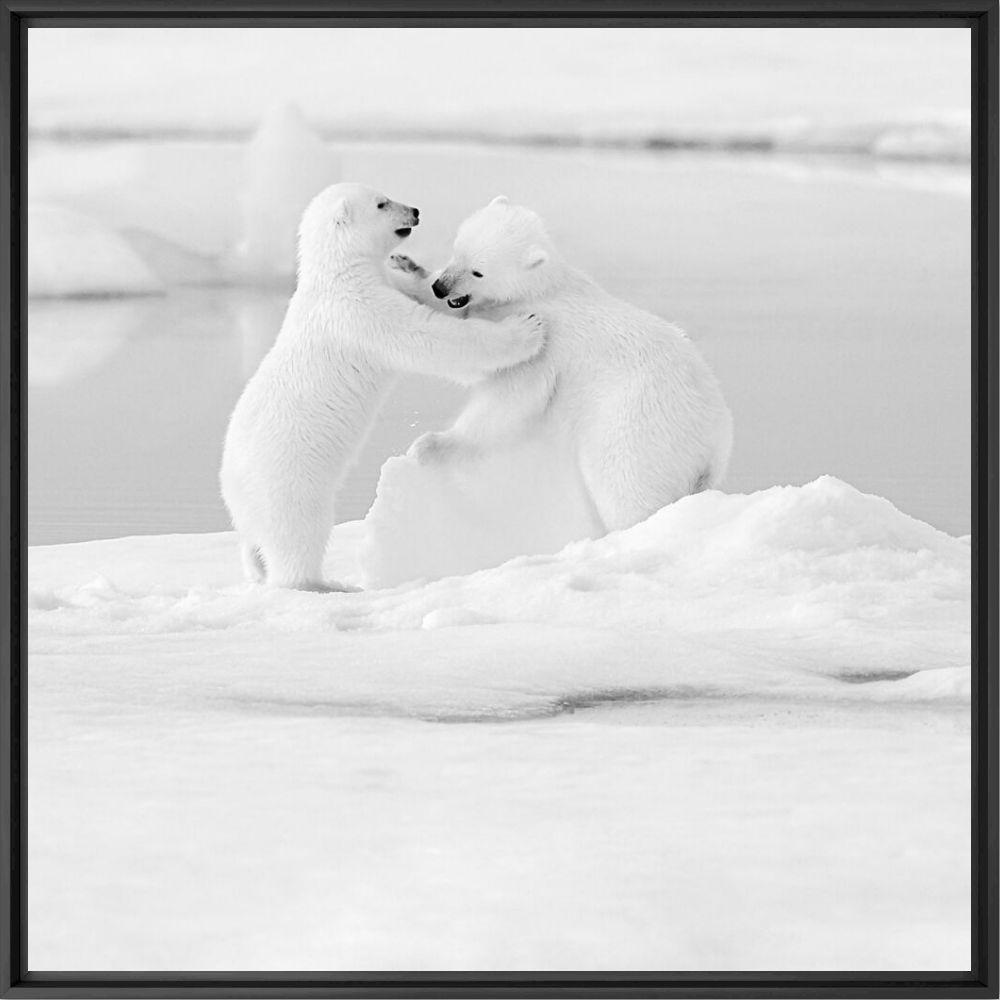 CLOSE TO ME - NOLWENN HADET - Photographie