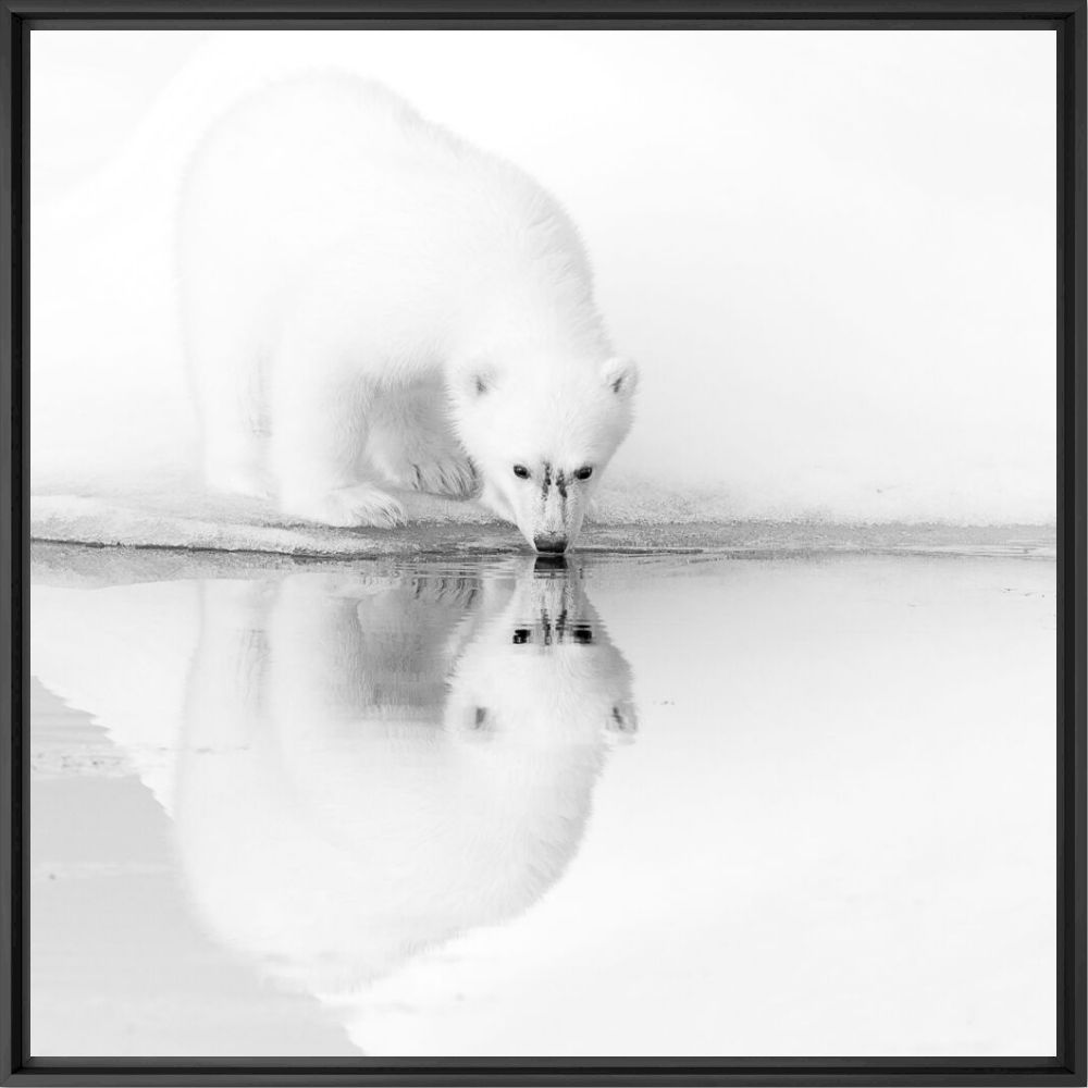 ICE REFLECTIONS - NOLWENN HADET - Fotografie