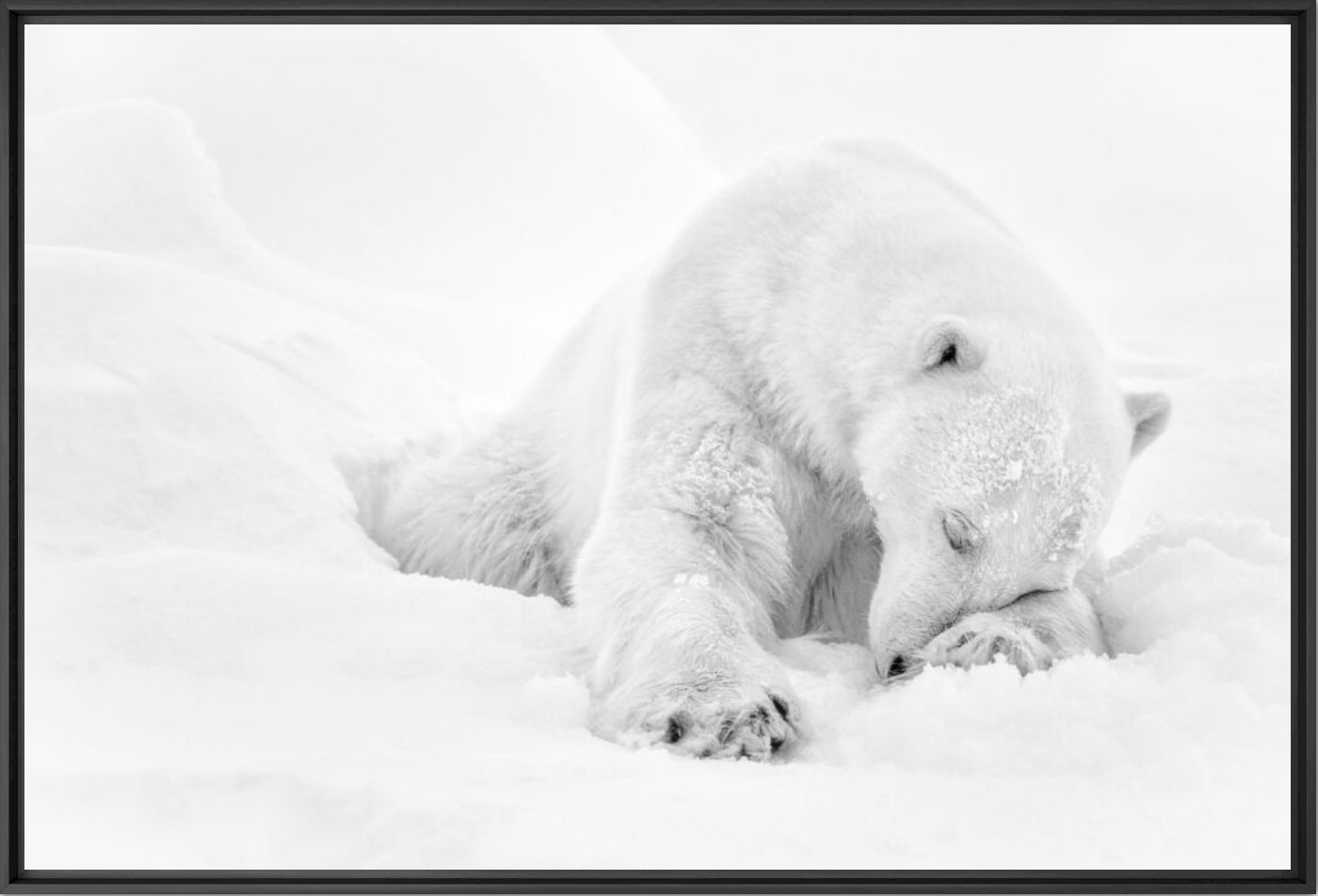 L EVEIL - NOLWENN HADET - Photographie