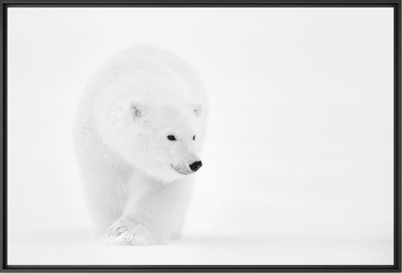 LOOKING FOR MUM - NOLWENN HADET - Photographie
