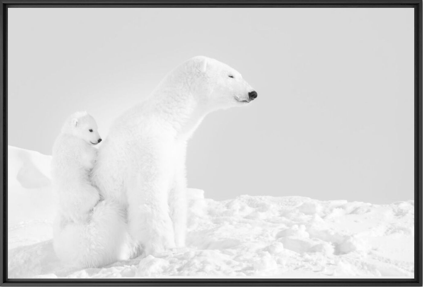 SAFE - NOLWENN HADET - Photographie