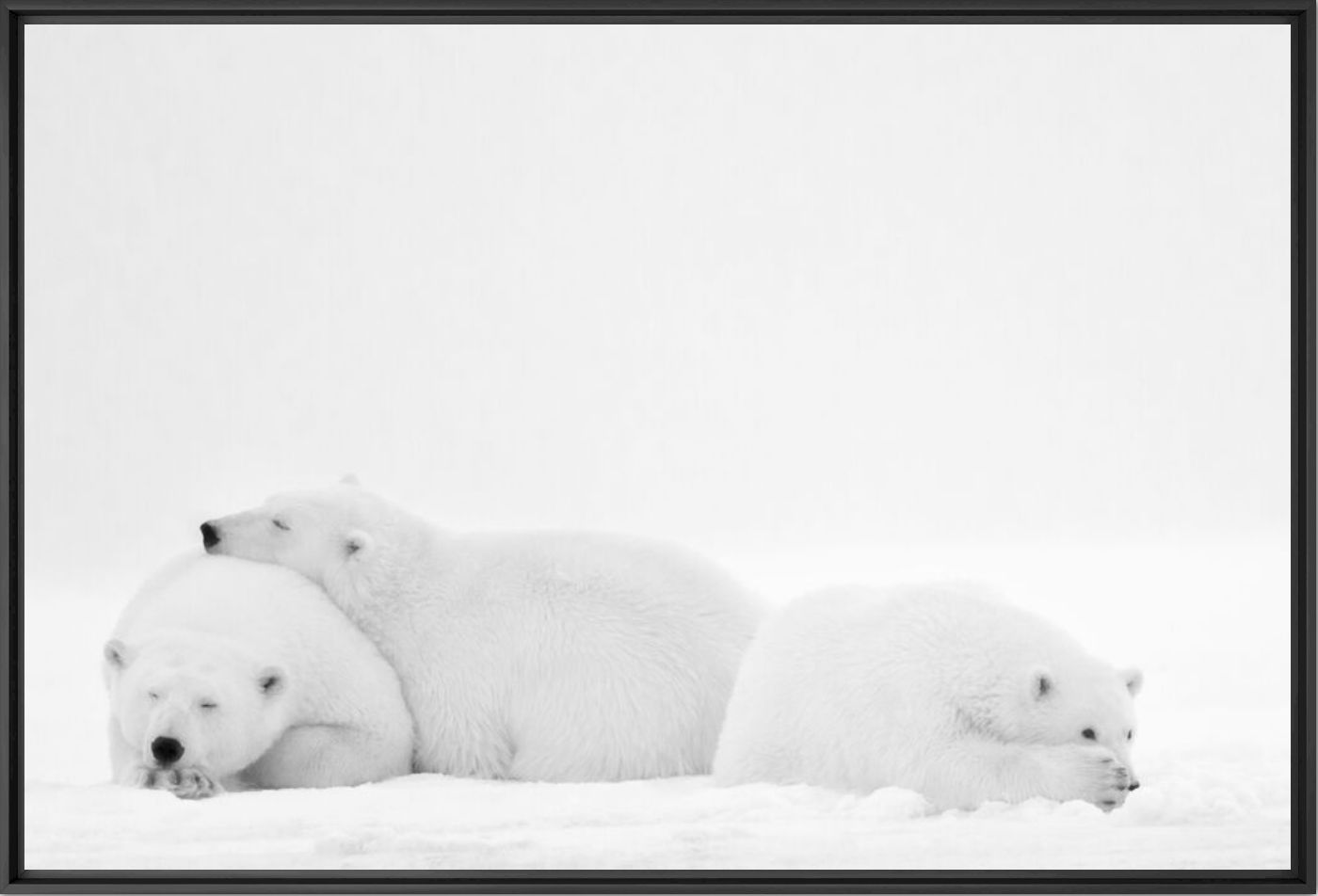 SLEEPING FAMILY - NOLWENN HADET - Fotografie