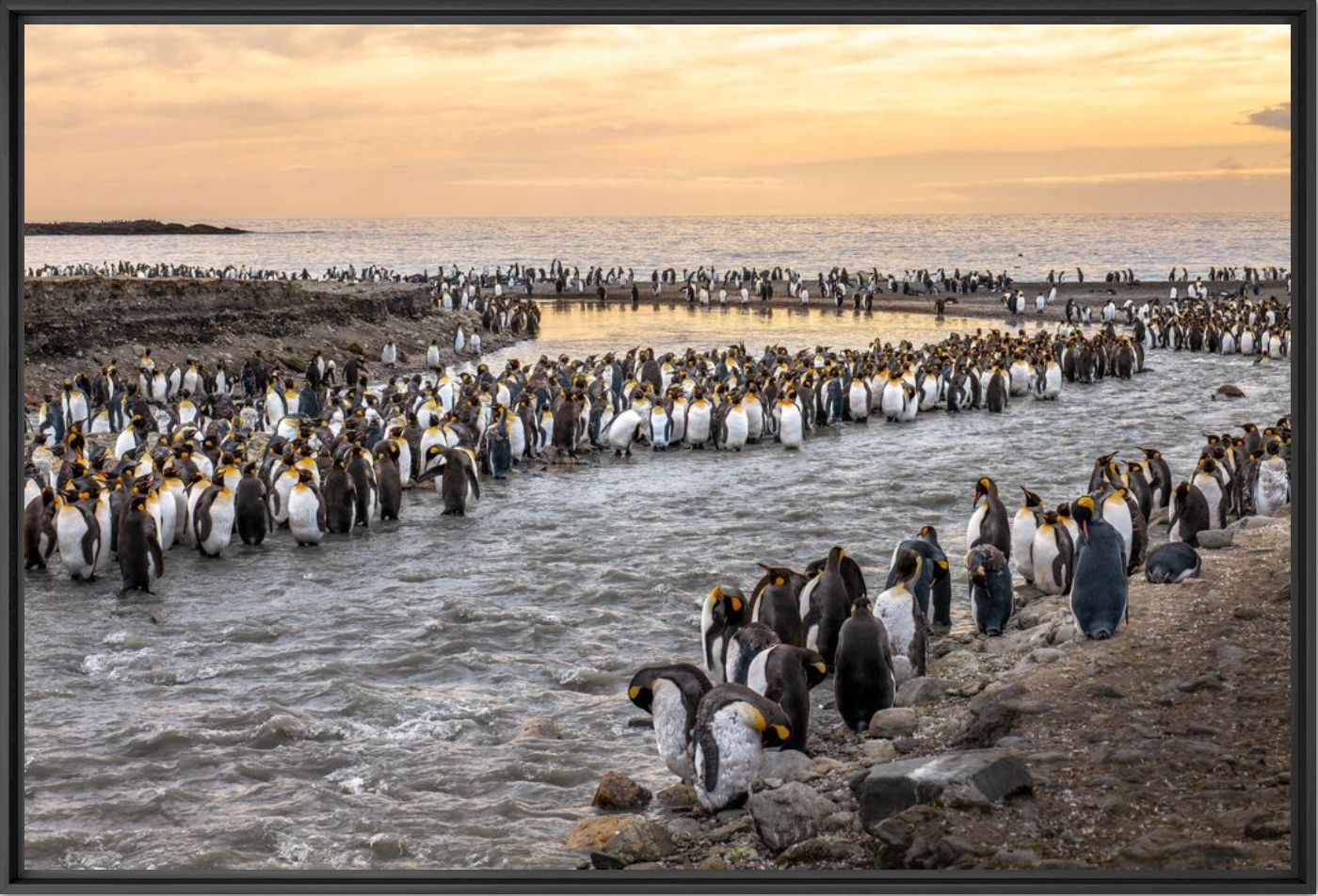 Les gardiens du passage - Olivier ANRIGO - Fotograf&iacute;a