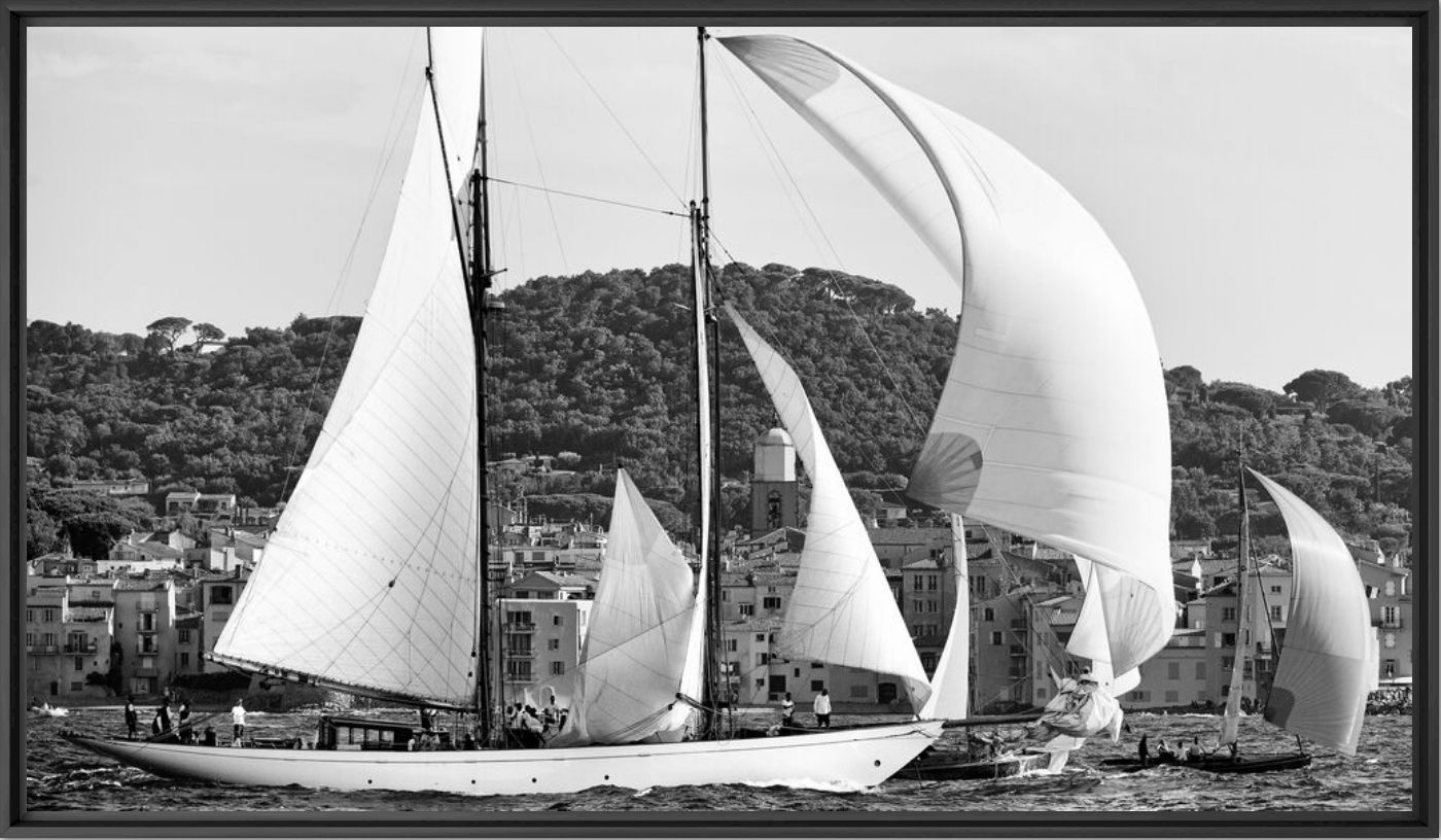 Voiles &agrave; St Tropez - Olivier ANRIGO - Photographie