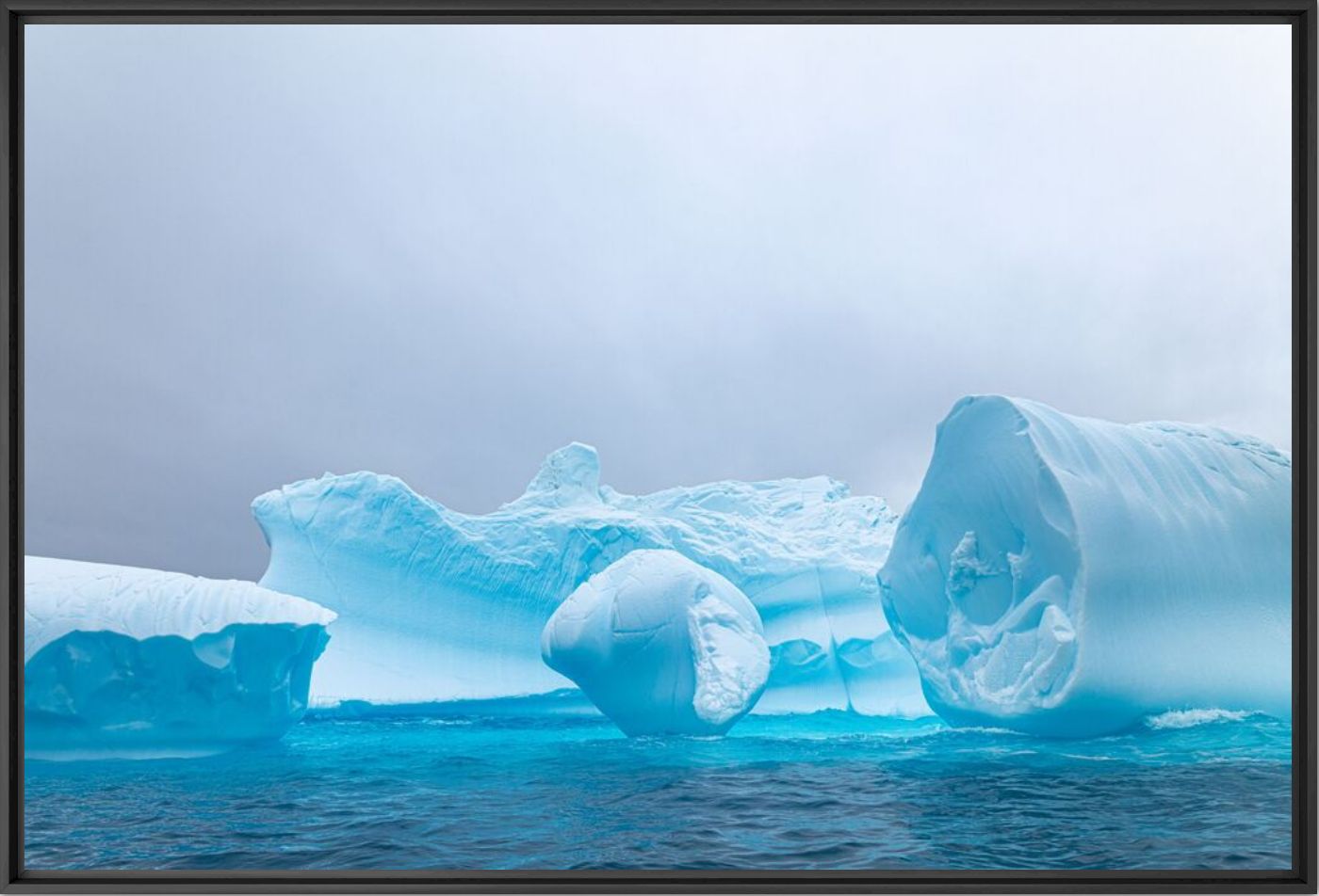 Trilogie d'icebergs - Olivier GOY - Photographie