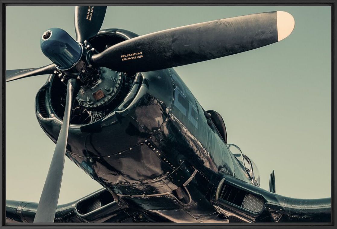BOYINGTON - OLIVIER LAVIELLE - Fotograf&iacute;a