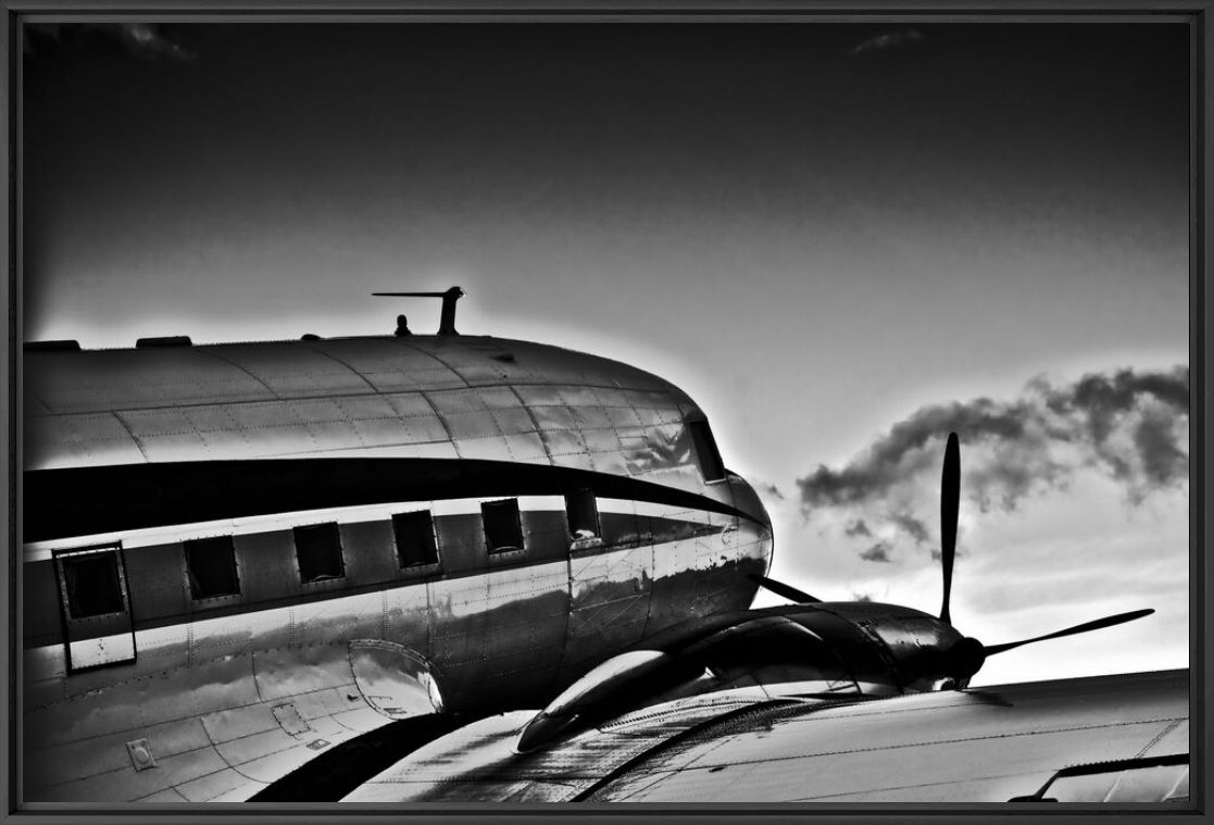 I Believe I Can Fly - OLIVIER LAVIELLE - Fotograf&iacute;a