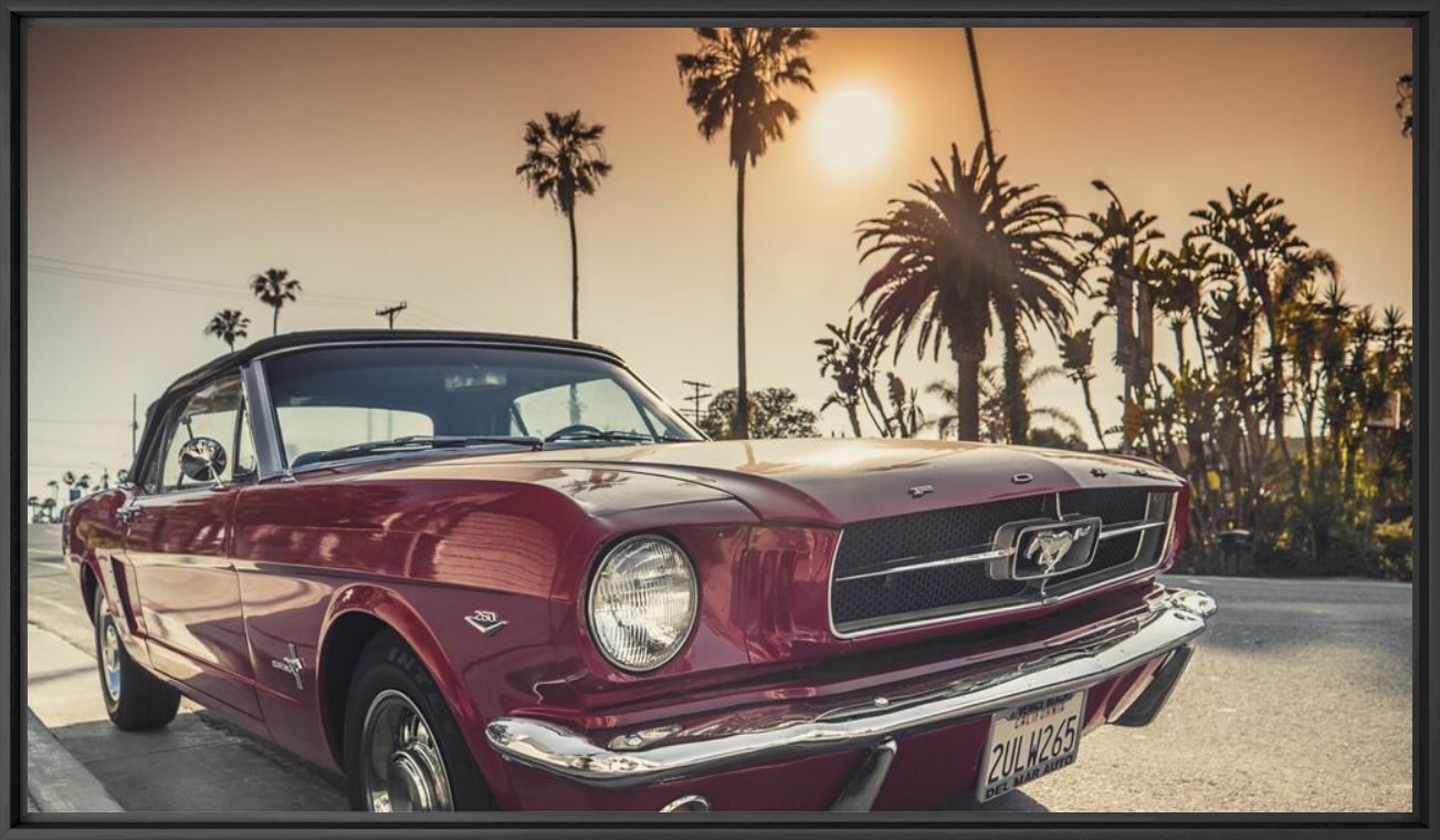 PONEY BEACH - OLIVIER LAVIELLE - Fotograf&iacute;a