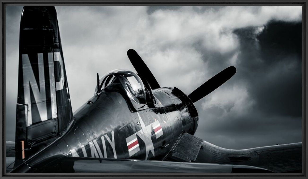 Star wing - OLIVIER LAVIELLE - Fotograf&iacute;a