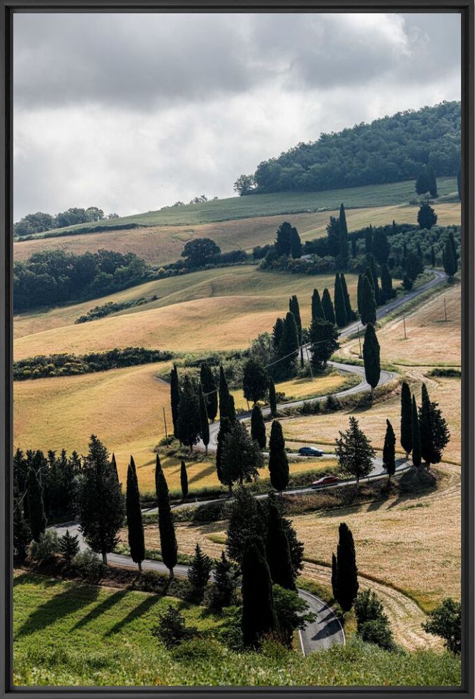 L'Allure Val d'Orcia 1 - OLIVIERO TOSCANI - Fotografia