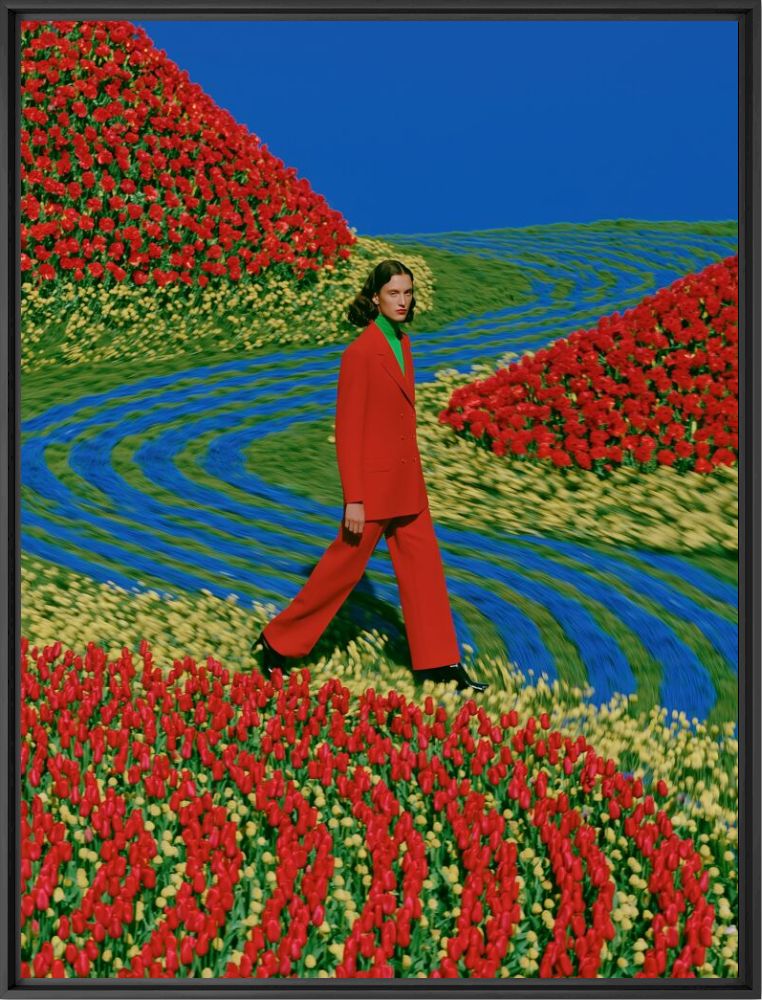 Le chemin des coquelicots - Patricia Geagea - Photographie