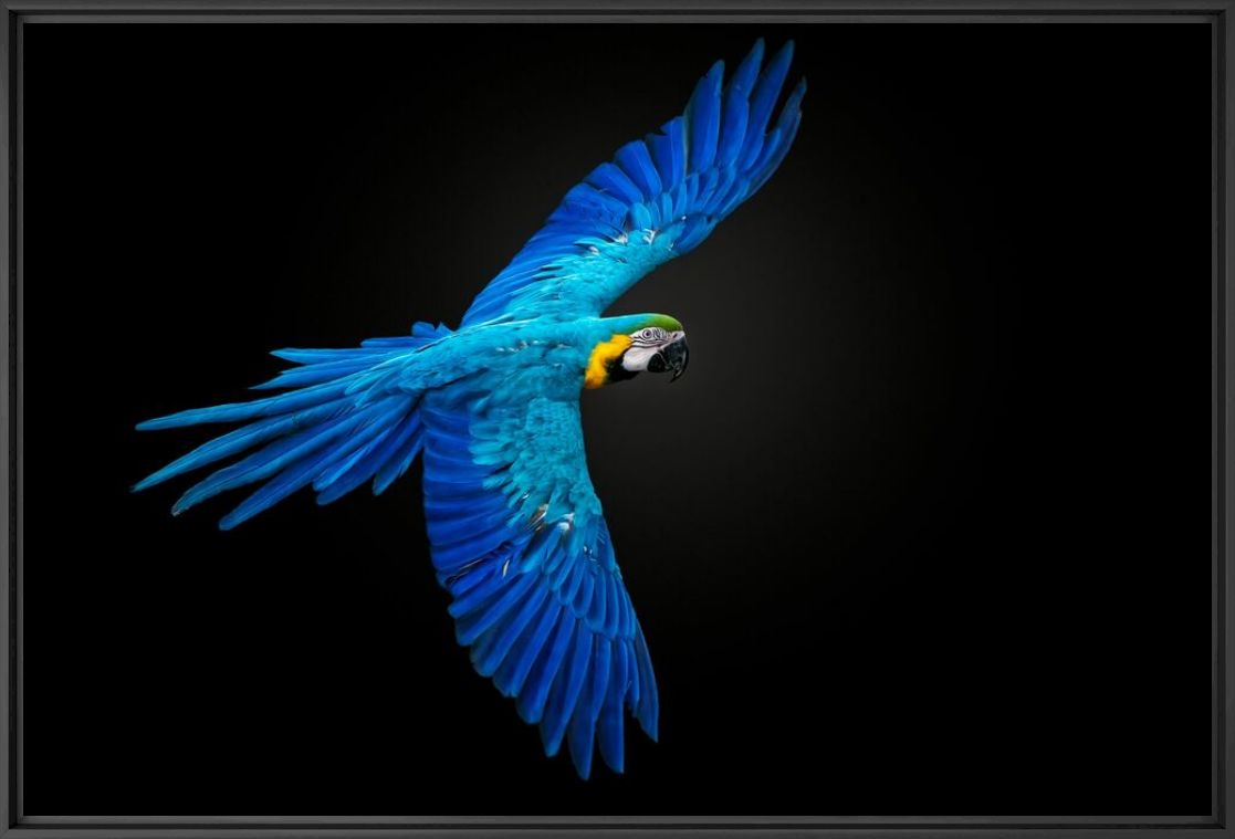 AND THERE WAS LIGHT - PEDRO JARQUE KREBS - Photographie