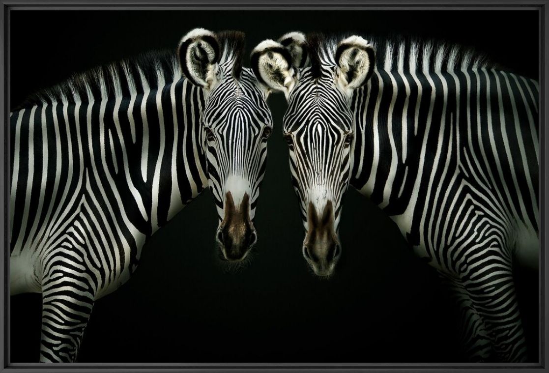 DOUBLE TROUBLE - PEDRO JARQUE KREBS - Fotografie