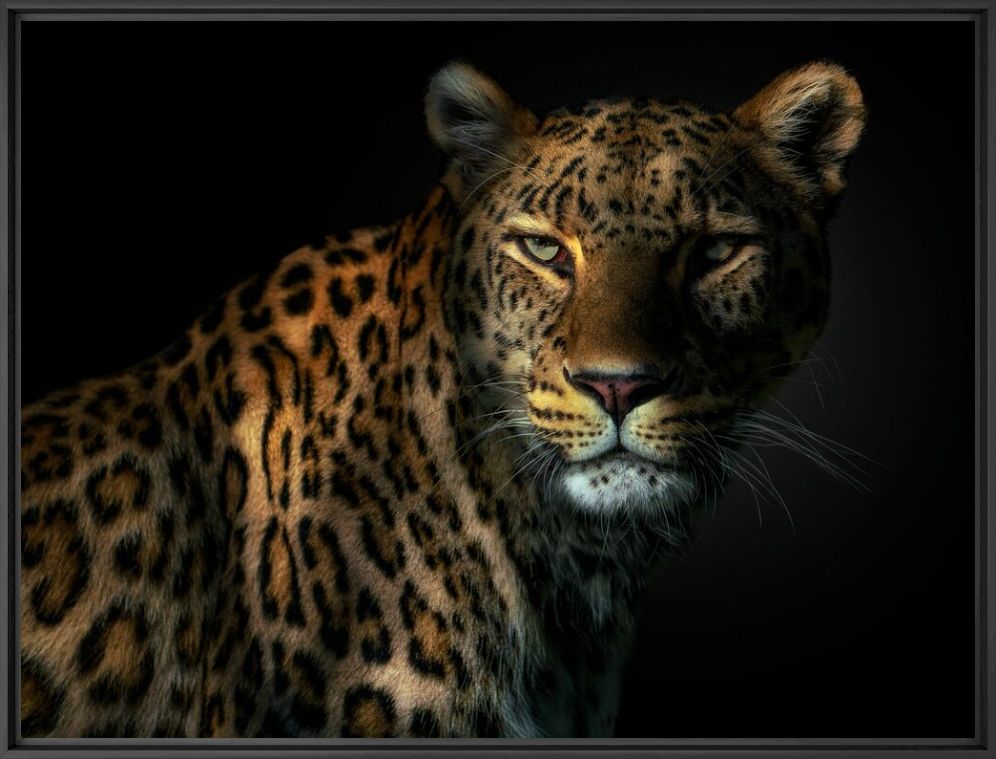 GOLDEN TOTEM - PEDRO JARQUE KREBS - Fotograf&iacute;a
