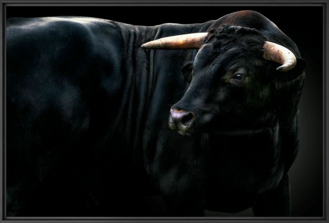 INNOCENCE - PEDRO JARQUE KREBS - Photographie