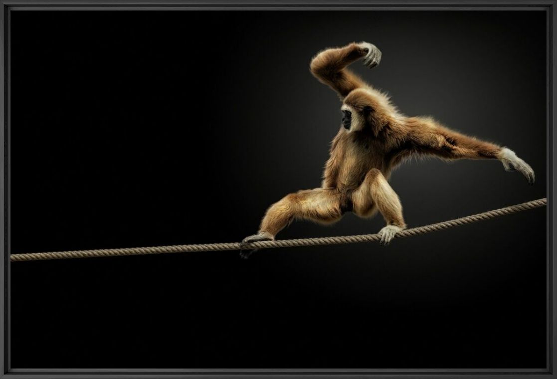 LIVING ON THE EDGE - PEDRO JARQUE KREBS - Photographie
