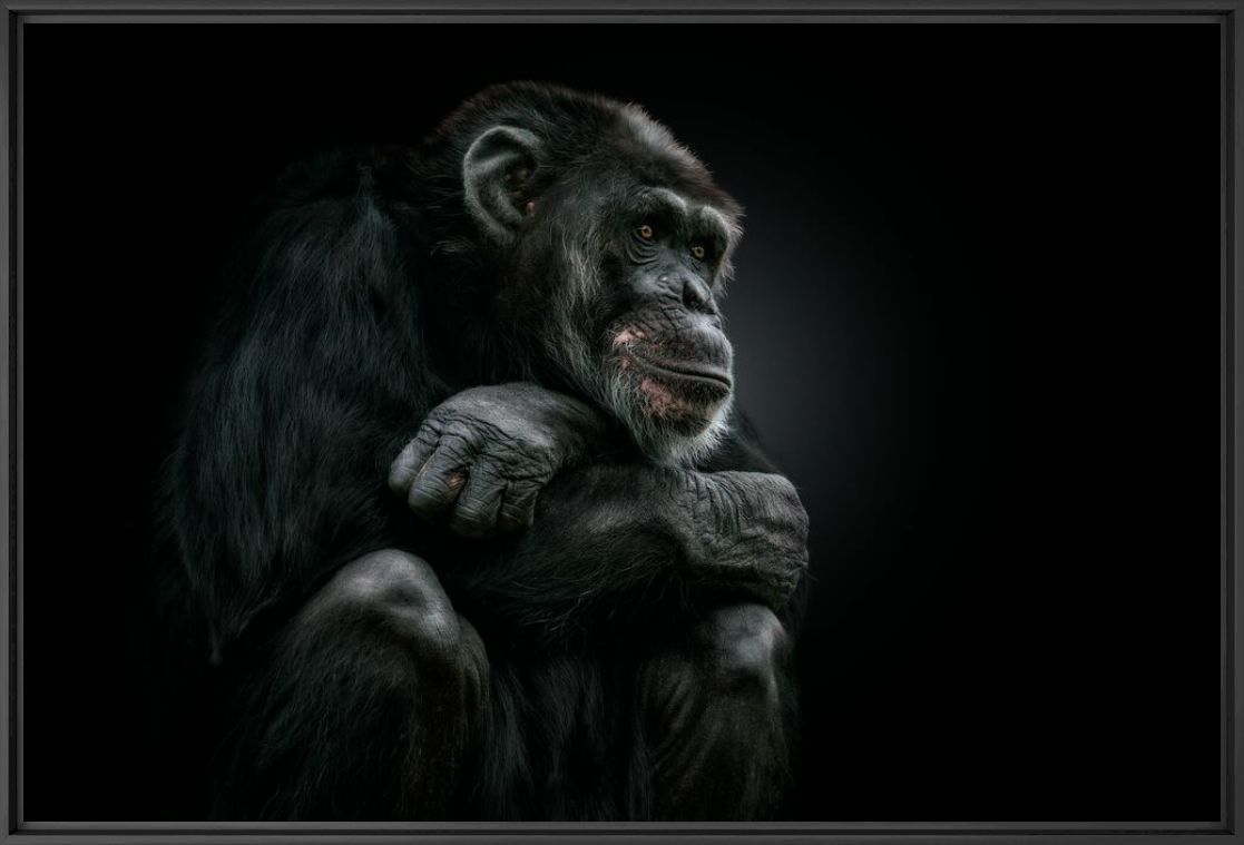 LONELY SOUL - PEDRO JARQUE KREBS - Photographie