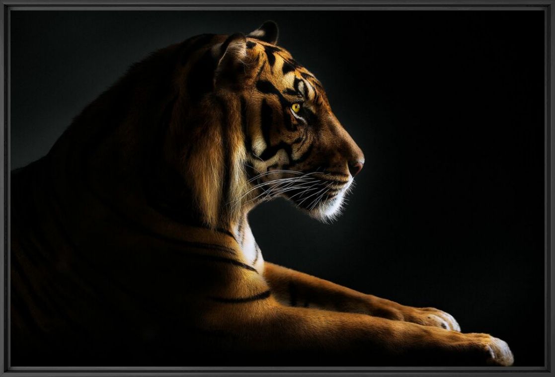 MINDFULNESS - PEDRO JARQUE KREBS - Photographie
