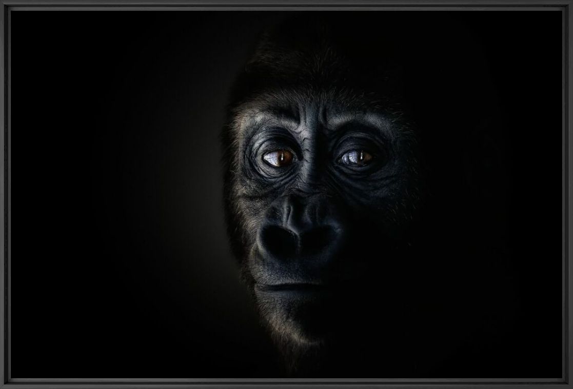NOT SO DIFFERENT - PEDRO JARQUE KREBS - Fotograf&iacute;a