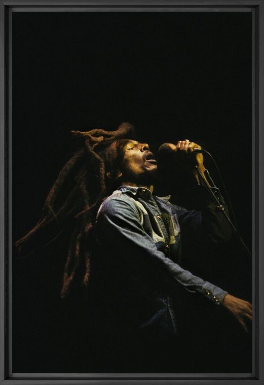 Marley - PETER HANKFIELD - Fotograf&iacute;a
