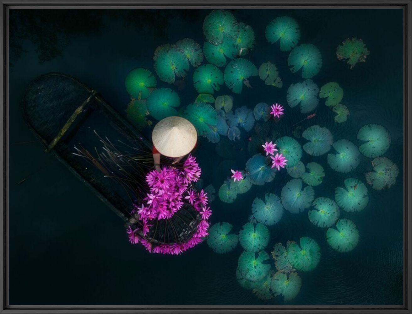 Lilies harvest - Pham HUY TRUNG - Fotografie