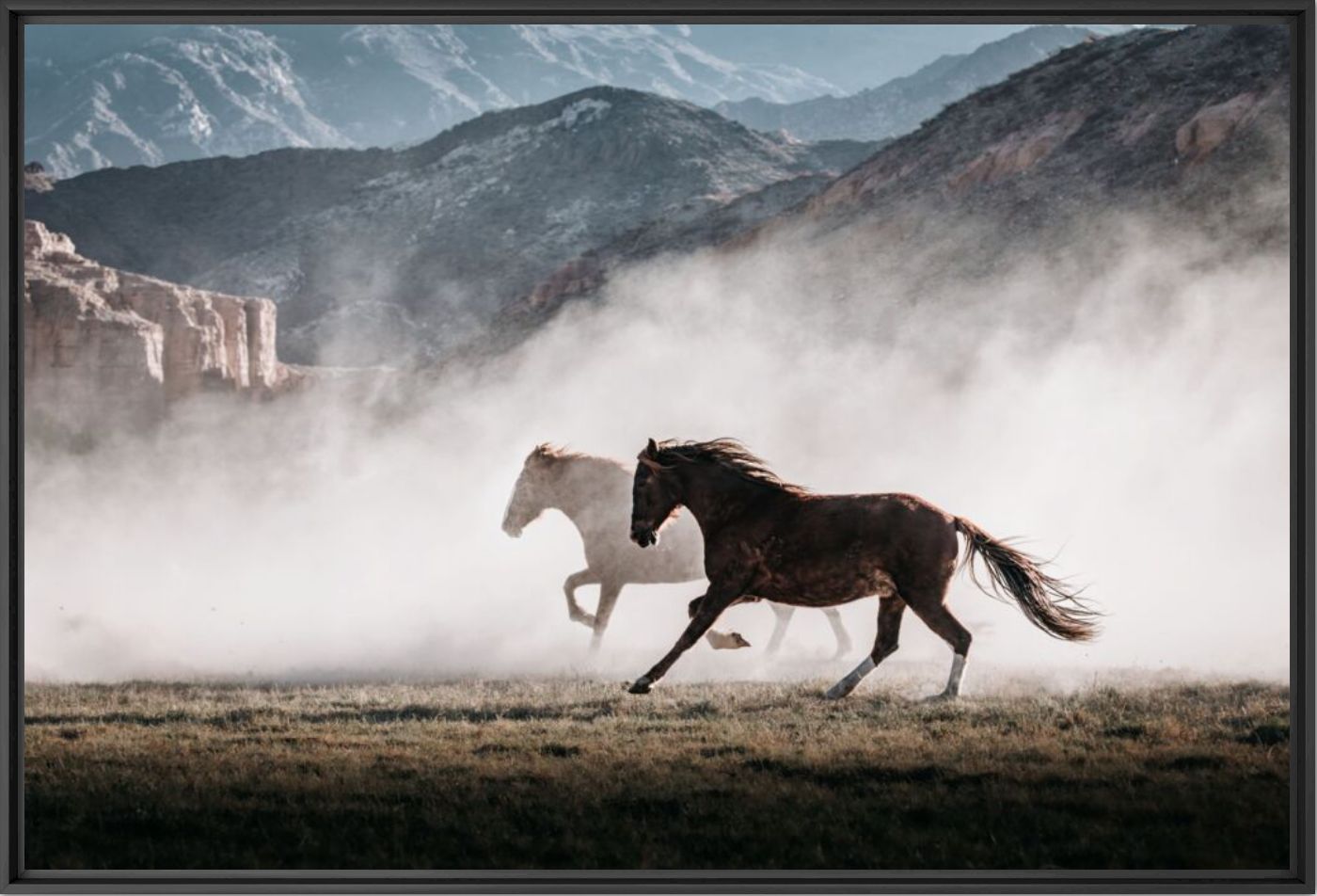 Wild horses 4 - Puna Moens - Photographie