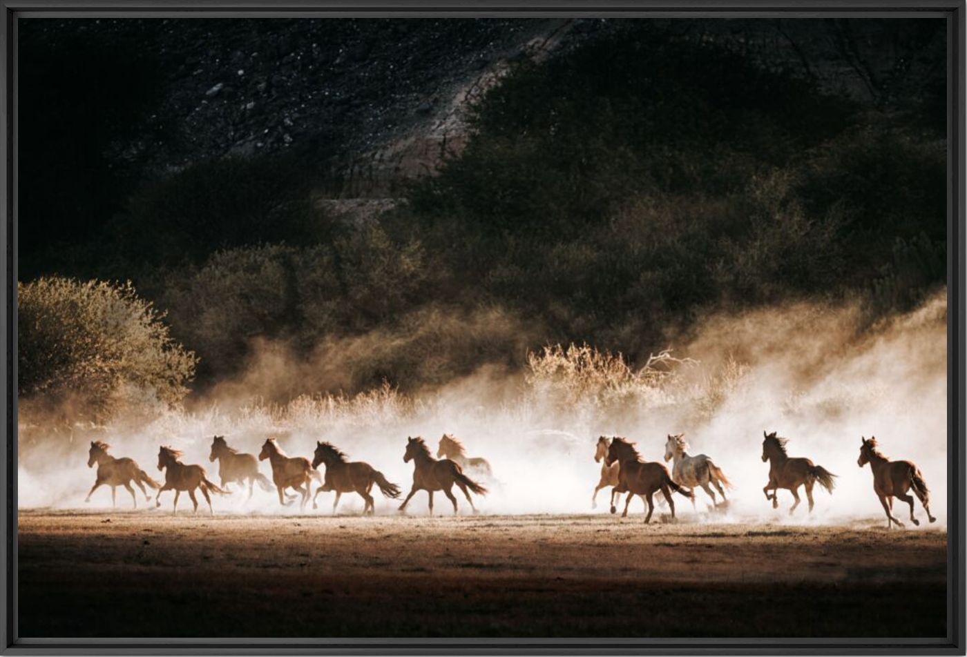 Wild horses 6 - Puna Moens - Photographie