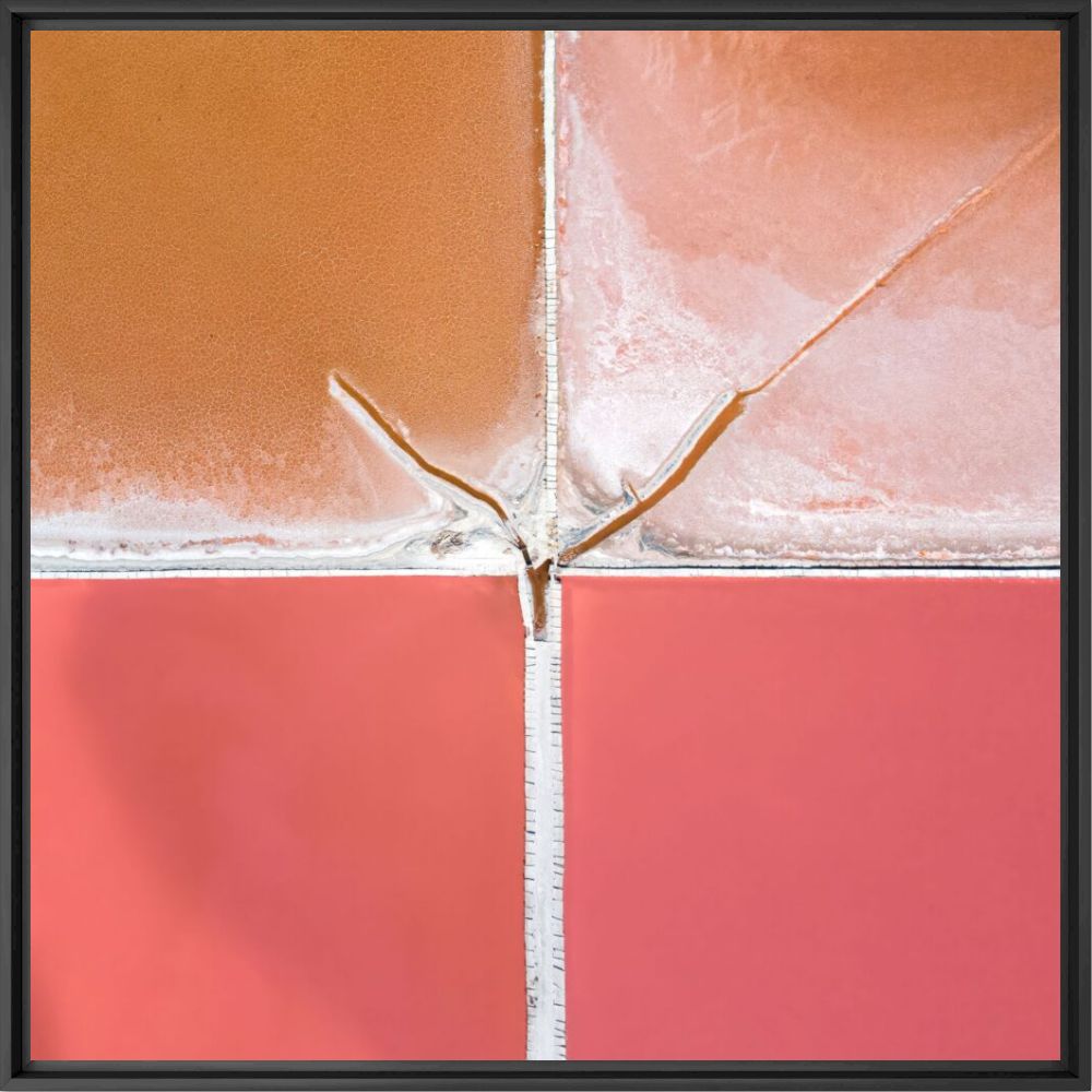 4 squares - Q LIEB IN - Photograph