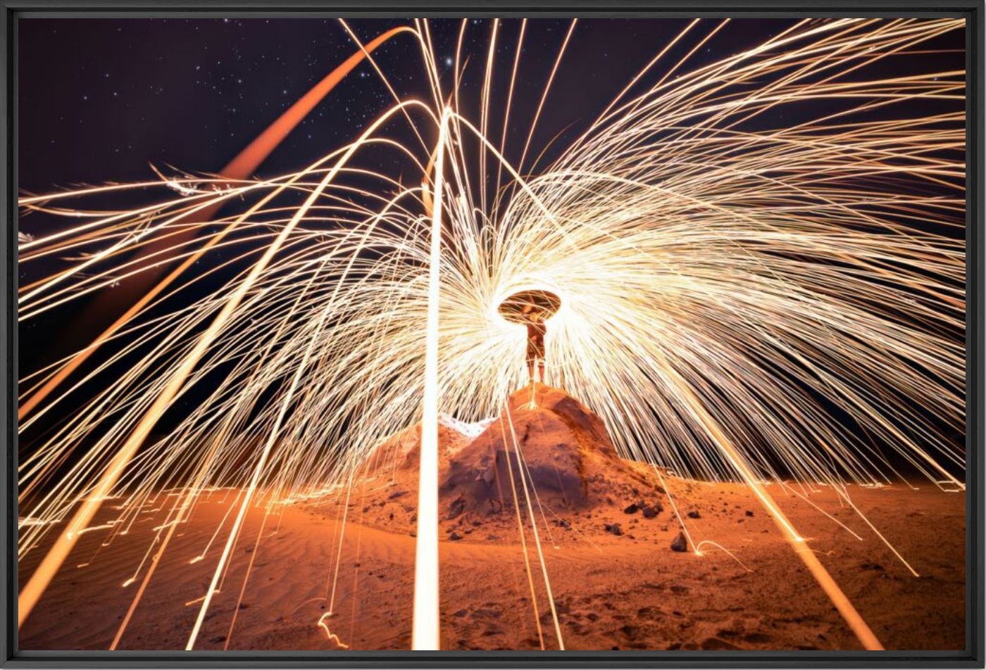 Fire spider - Q LIEB IN - Photograph