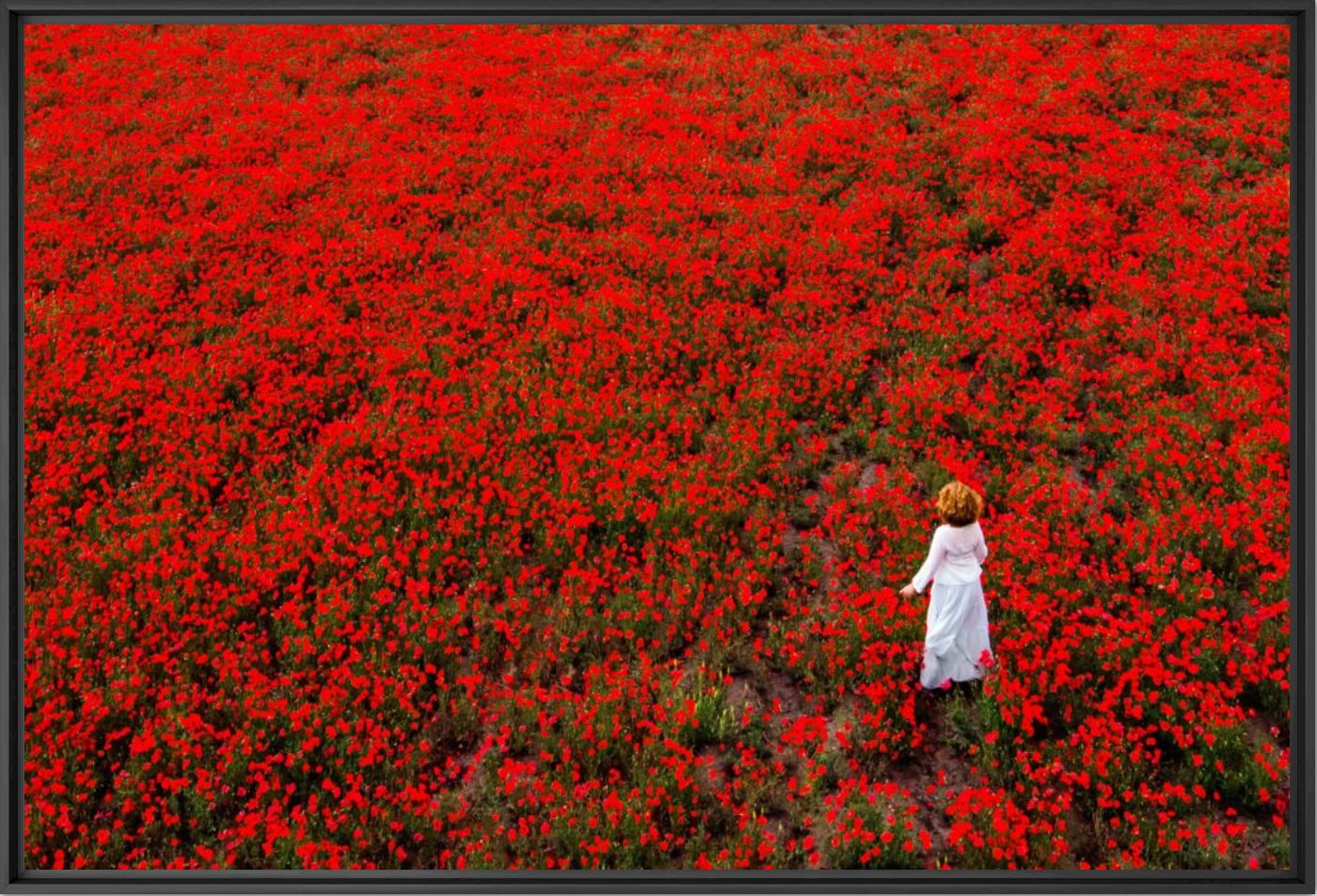 Red walk - Q LIEB IN - Photographie