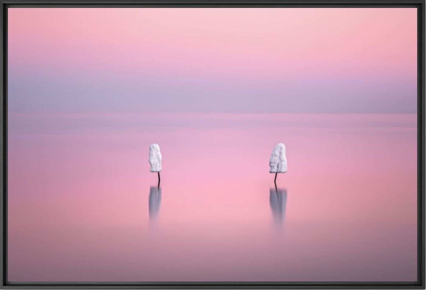 Two ice creams 2 - Q LIEB IN - Photograph