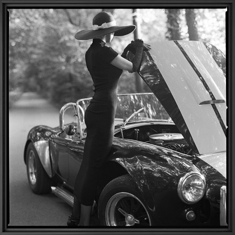 COBRA - RADOSLAW PUJAN - Fotografie