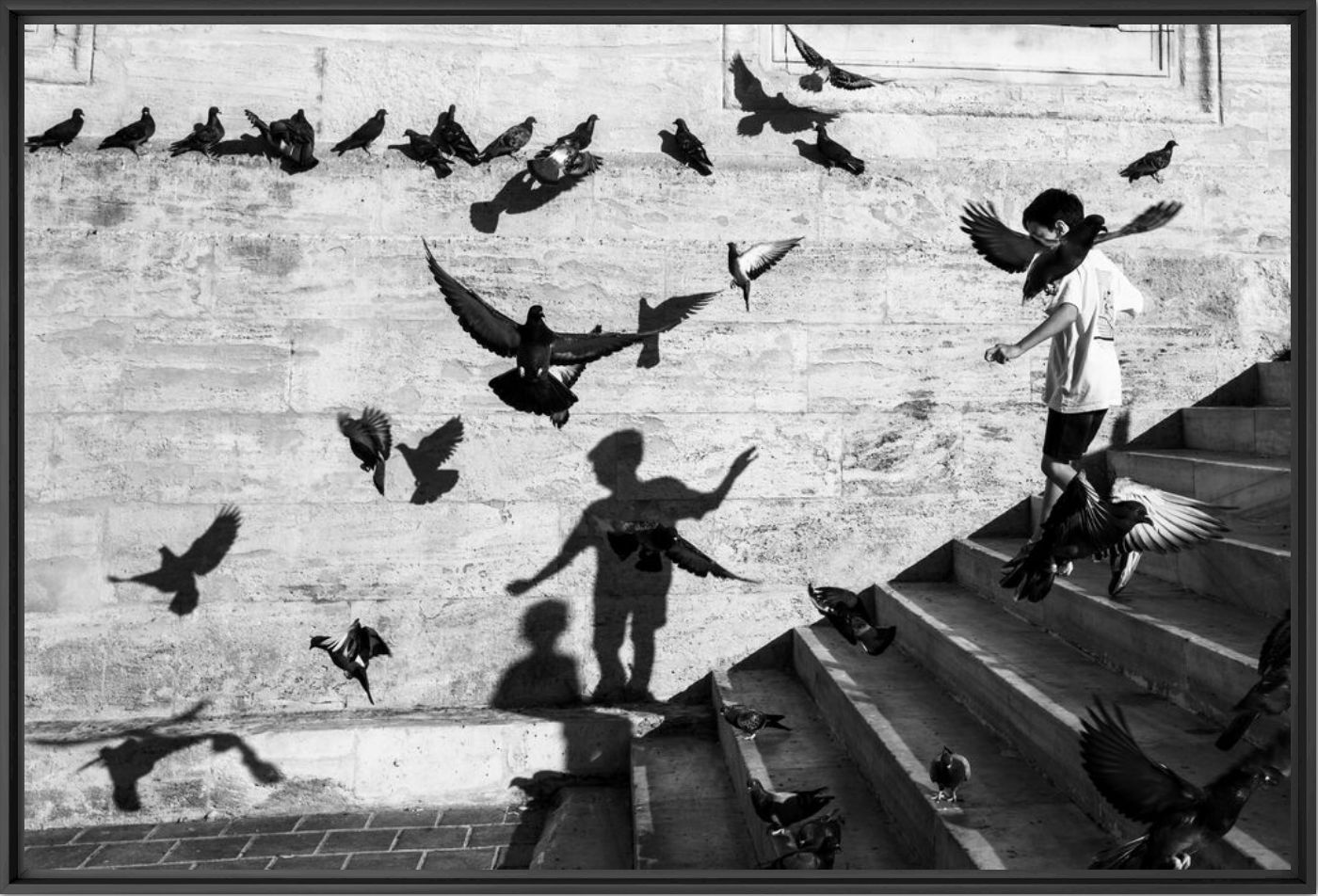 I want to fly - RangeFinder X  - Photograph