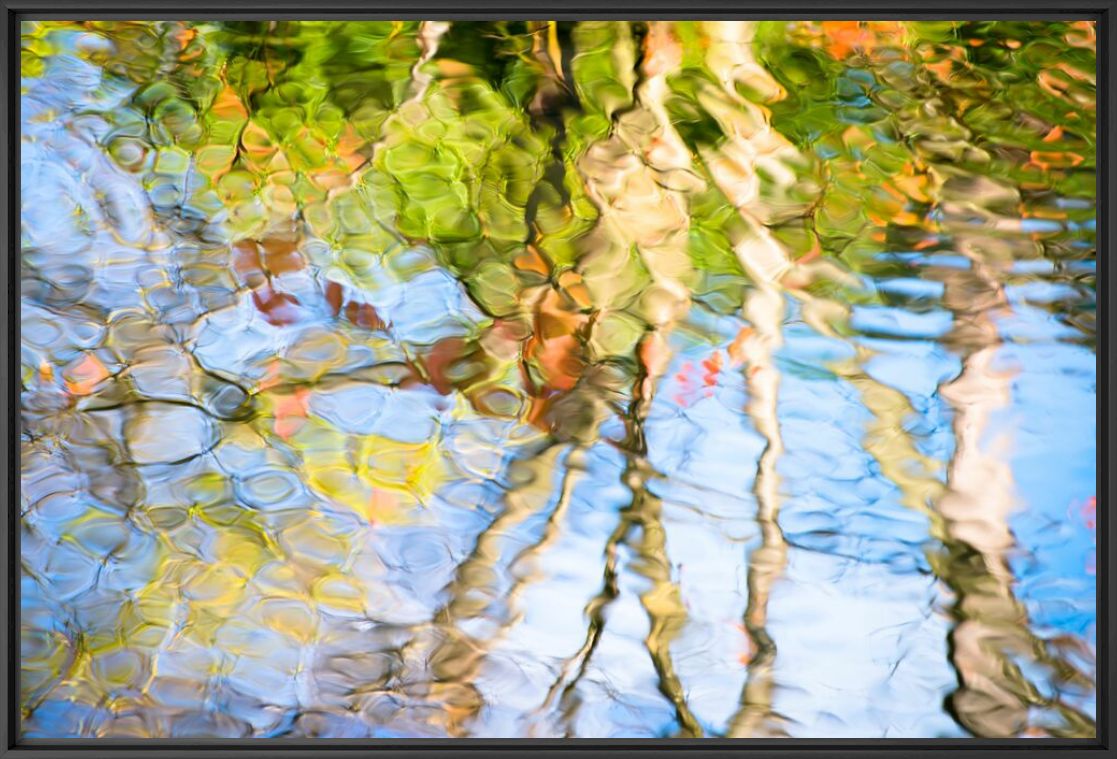 Eden 3 - Raphaelle Abib - Fotografie