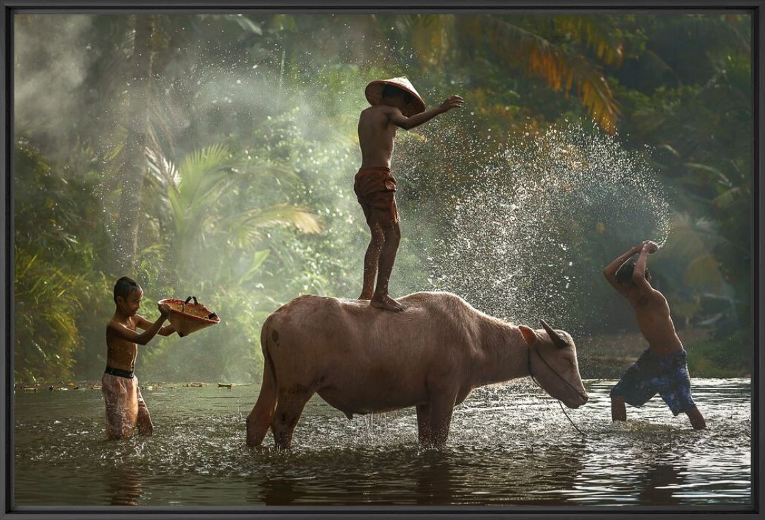 TAKING SHOWER WITH BUFFALO - RARINDRA PRAKARSA - Photographie